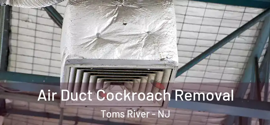  Air Duct Cockroach Removal Toms River - NJ
