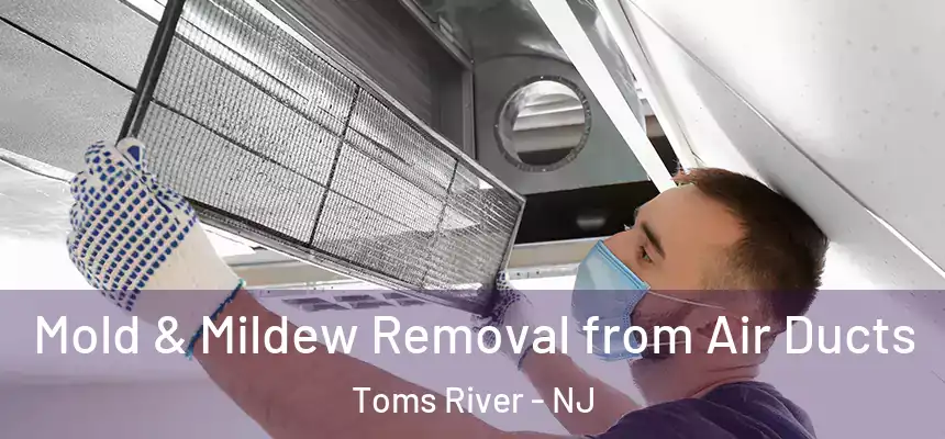  Mold & Mildew Removal from Air Ducts Toms River - NJ