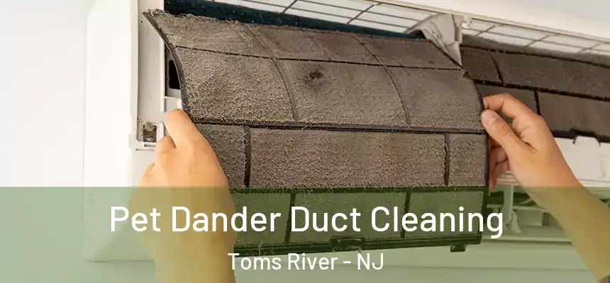  Pet Dander Duct Cleaning Toms River - NJ