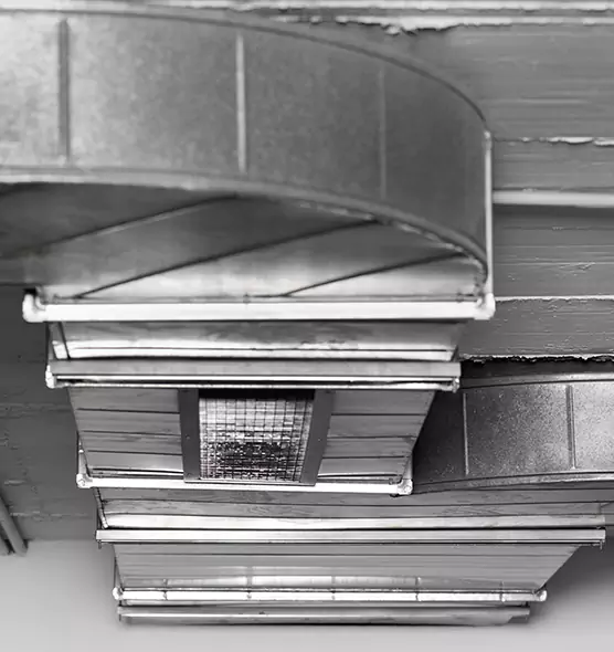 Professional Air Duct Pest Removal in Toms River, NJ