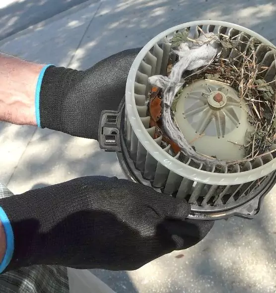 About Air Duct Rat Removal in Toms River, NJ