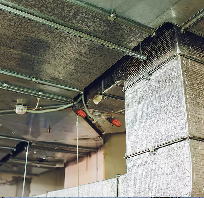 Why Homeowners & Businesses Trust Us in Toms River, NJ?