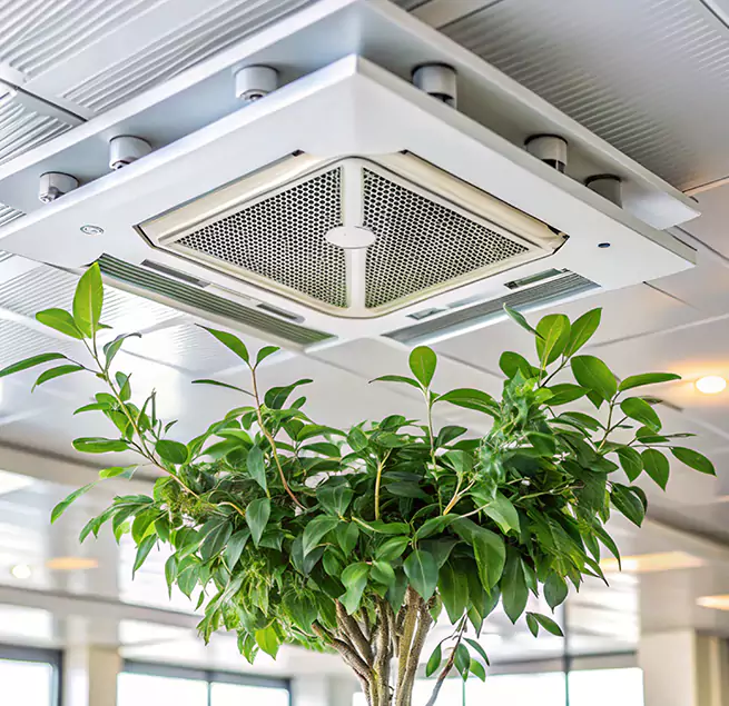 Why Homeowners & Businesses Trust Us in Toms River, NJ