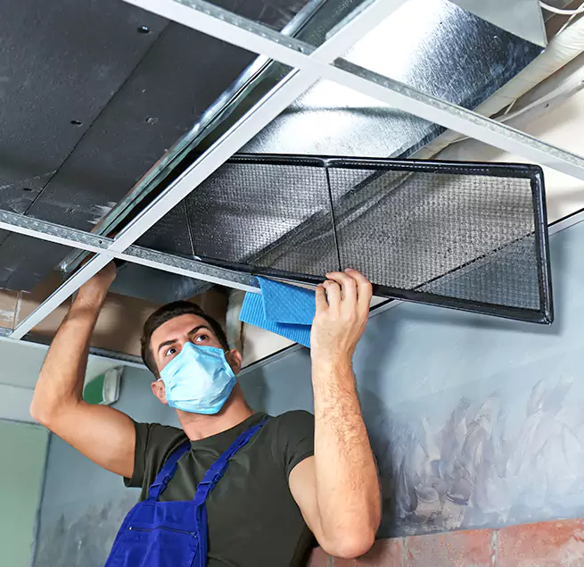 Why Homeowners & Businesses Trust Us in Toms River, NJ?